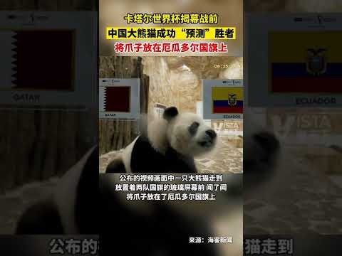 激战正酣,浙新,全运男足战,2026世界杯买球指南,世界杯投注,足球买球,体育博彩,世界杯赛事分析,投注技巧,世界杯赔率,2026世界杯
